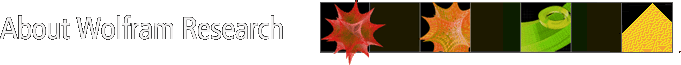 Qu� es Wolfram Research
