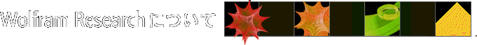 Wolfram Research�ɂ���
