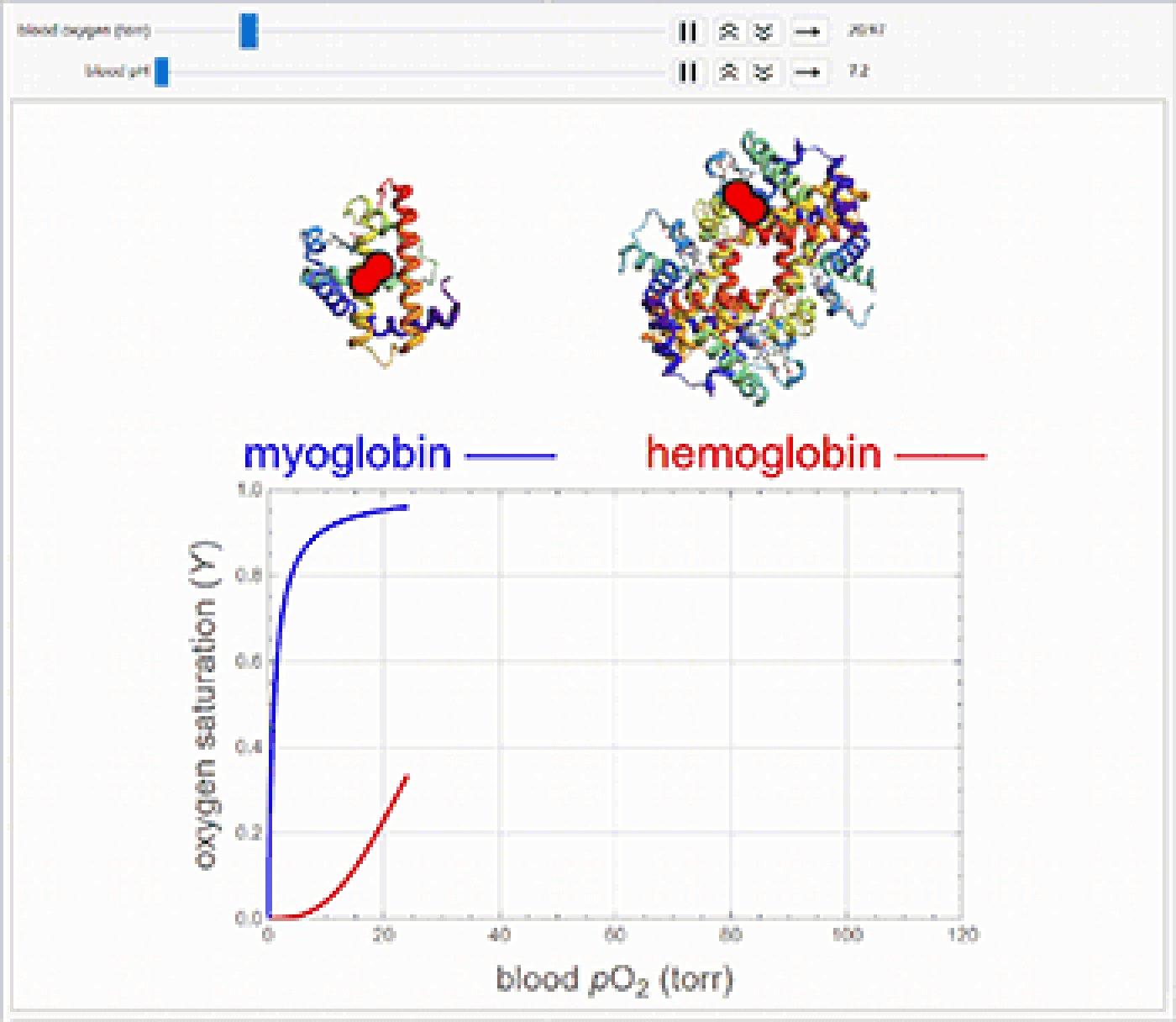 Oxygen dissociation curve animation