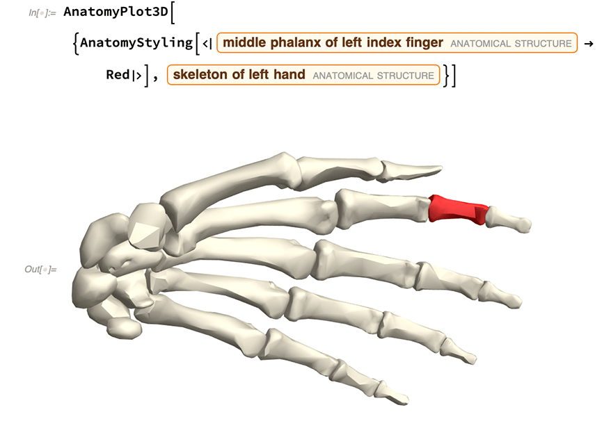 左人差し指の中節骨の構造プロット