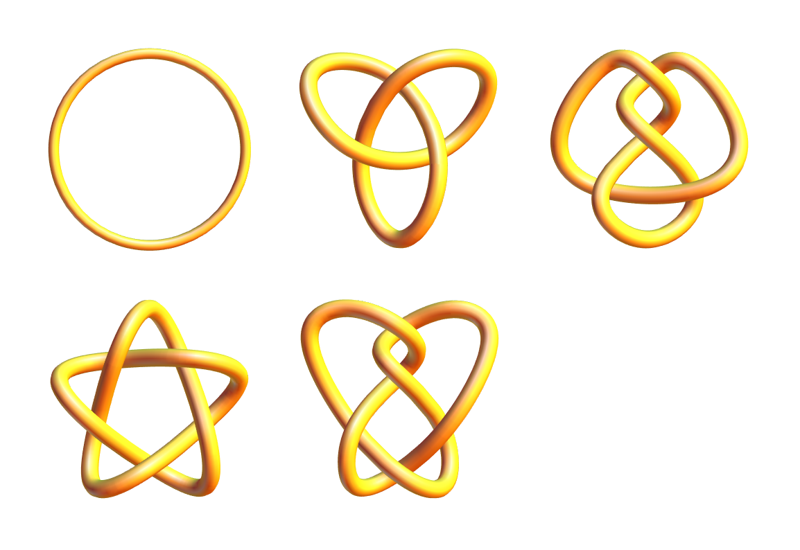 torus knot