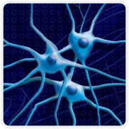 Neural Networks
